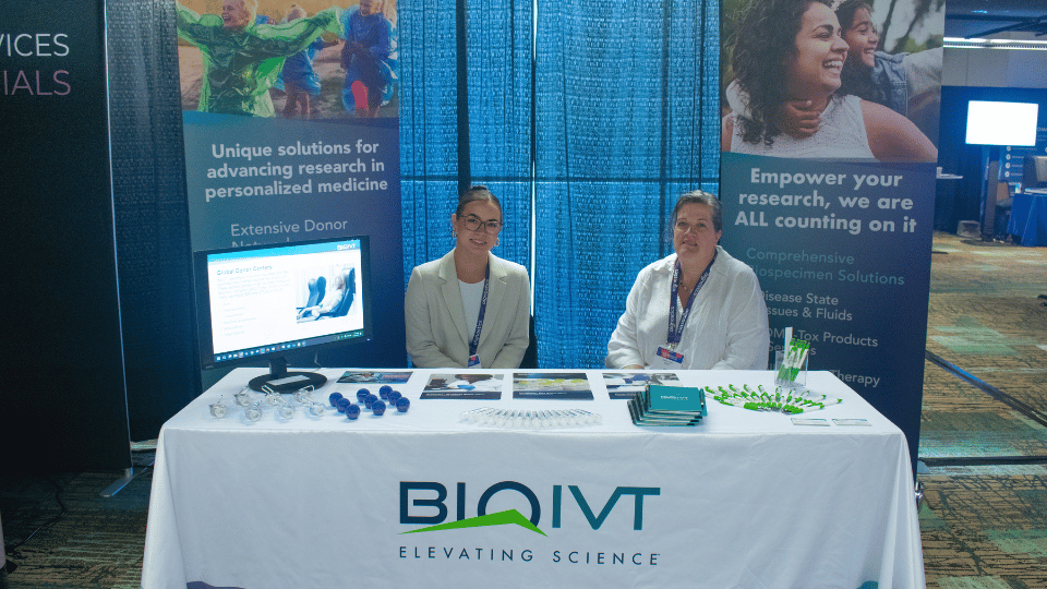 Showcase your capabilities